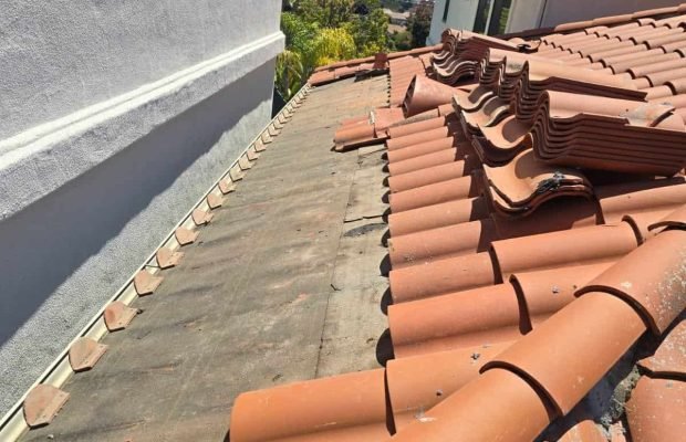 WhatsApp Image 2025-10-02 at 1.28.18 PM (5)